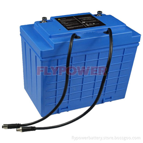 12V 110ah LiFePO4 Battery Pack (FlyPower Model12V 110ah LiFePO4 Battery Pack (FlyPower Model FLFP-121100E3) FLFP-121100E3)